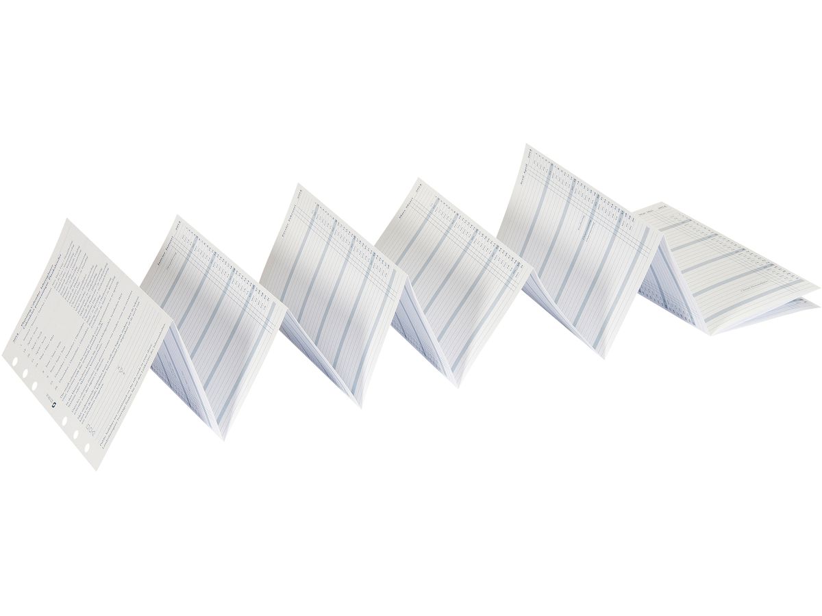 SUCCES Agenda Standard Jahrespl. 2027 843159000027U 6M/1S gefalzt 9.5x17.1cm (8717481254304)