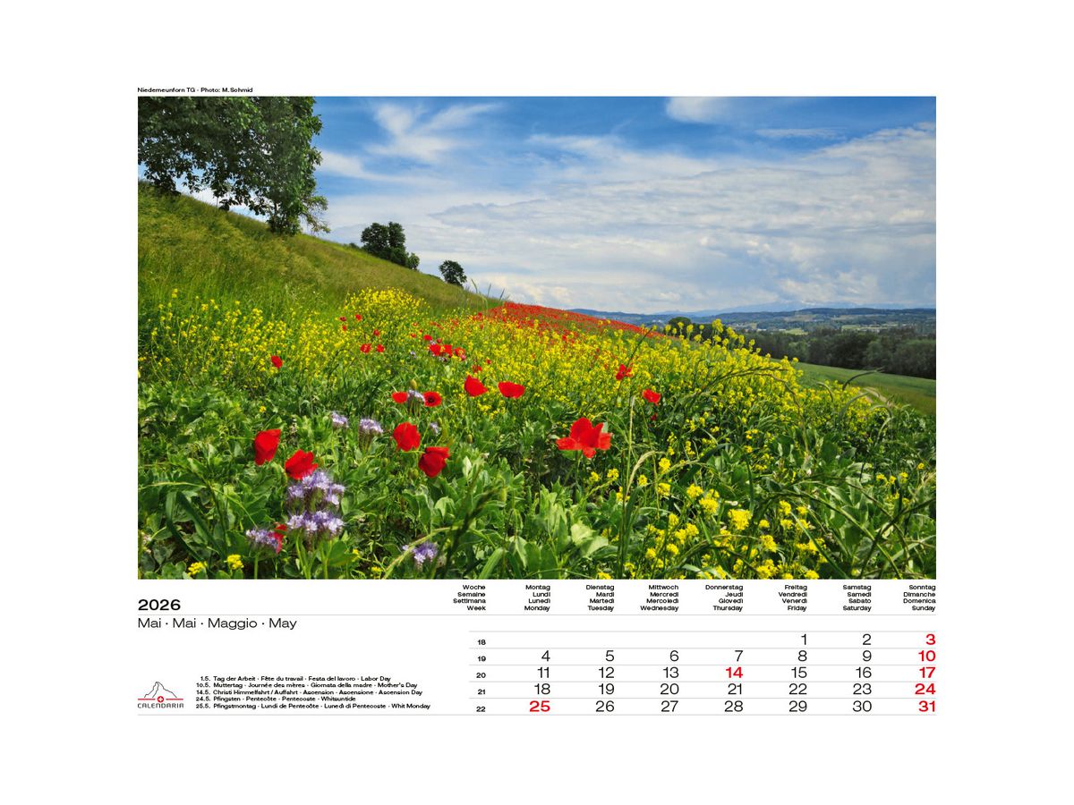 CALENDARIA Calendario 2026 9783036205083 Swiss Panorama ML 40x31cm (9783036205083)