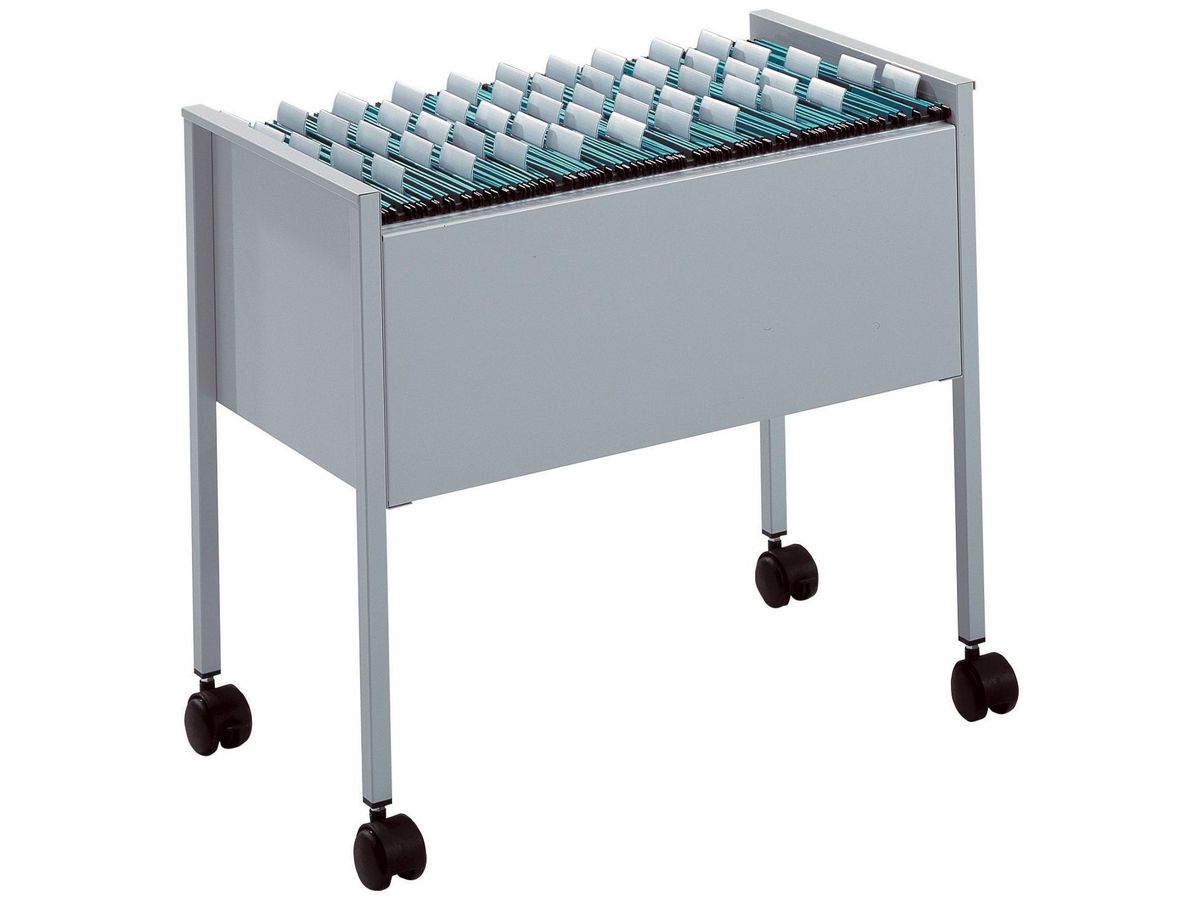 DURABLE Boy p. dossiers susp. Economy 309523 argent (4005546987781)