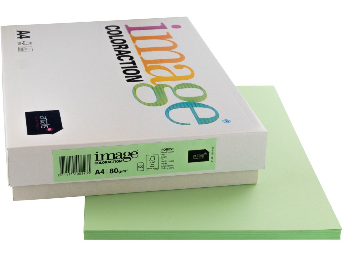 IMAGE COLORACTION Kopierpapier Forest A4 274581 80g, grün 500 Blatt (7611115002235)