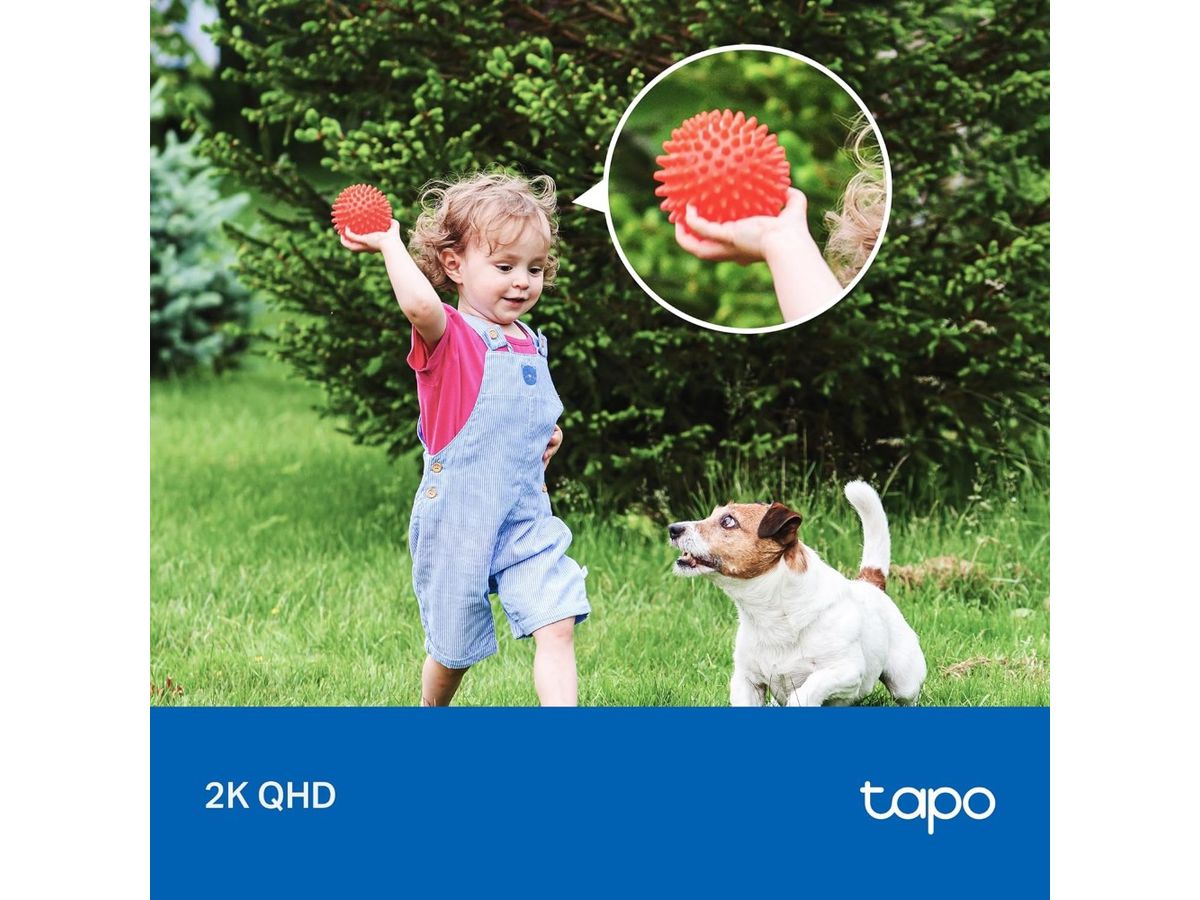 TP-LINK Smart Wless Security Camera Tapo C425 KIT incl. Solar Panel (8885020625684)