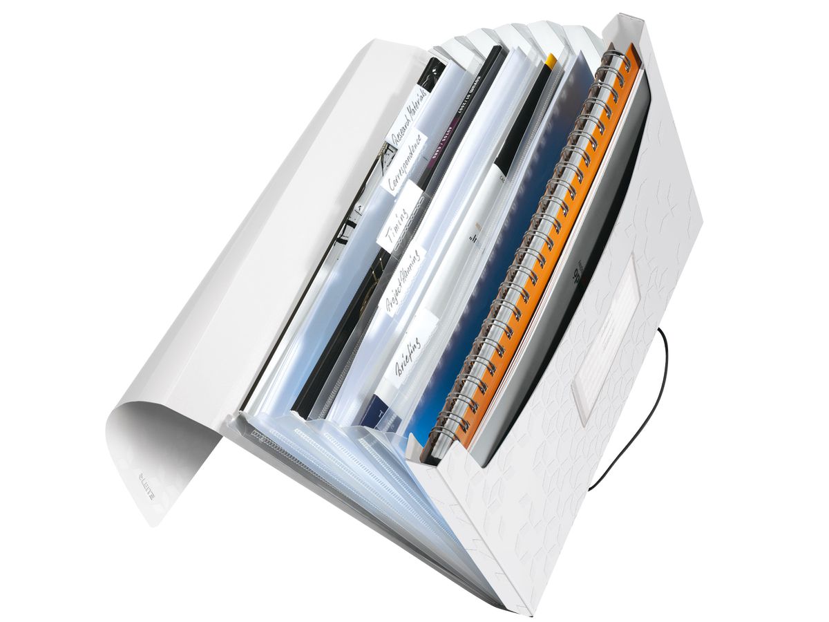 LEITZ Cartella progetto WOW A4 4589-00-01 bianco (4002432121021)