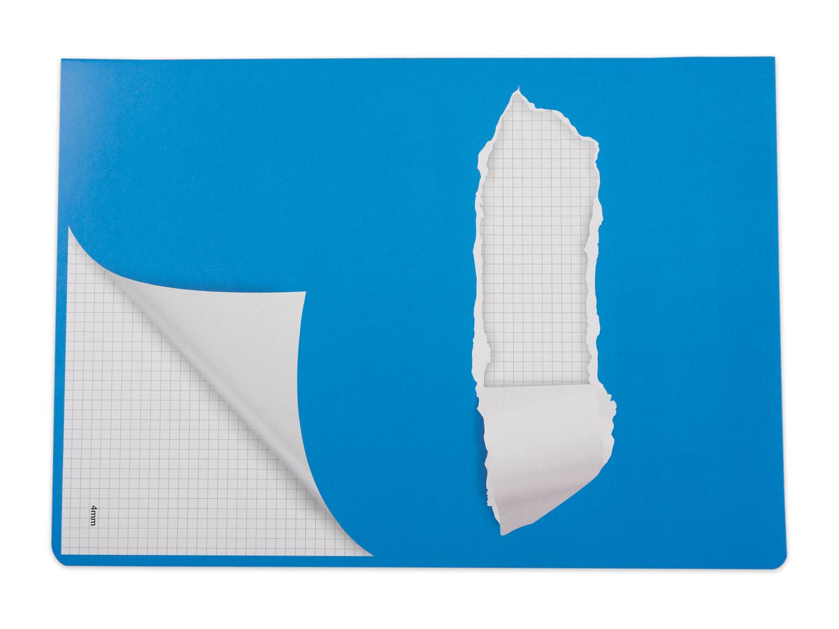 ELCO Schulheft A4 73051.37 kariert blau (7610425264203)