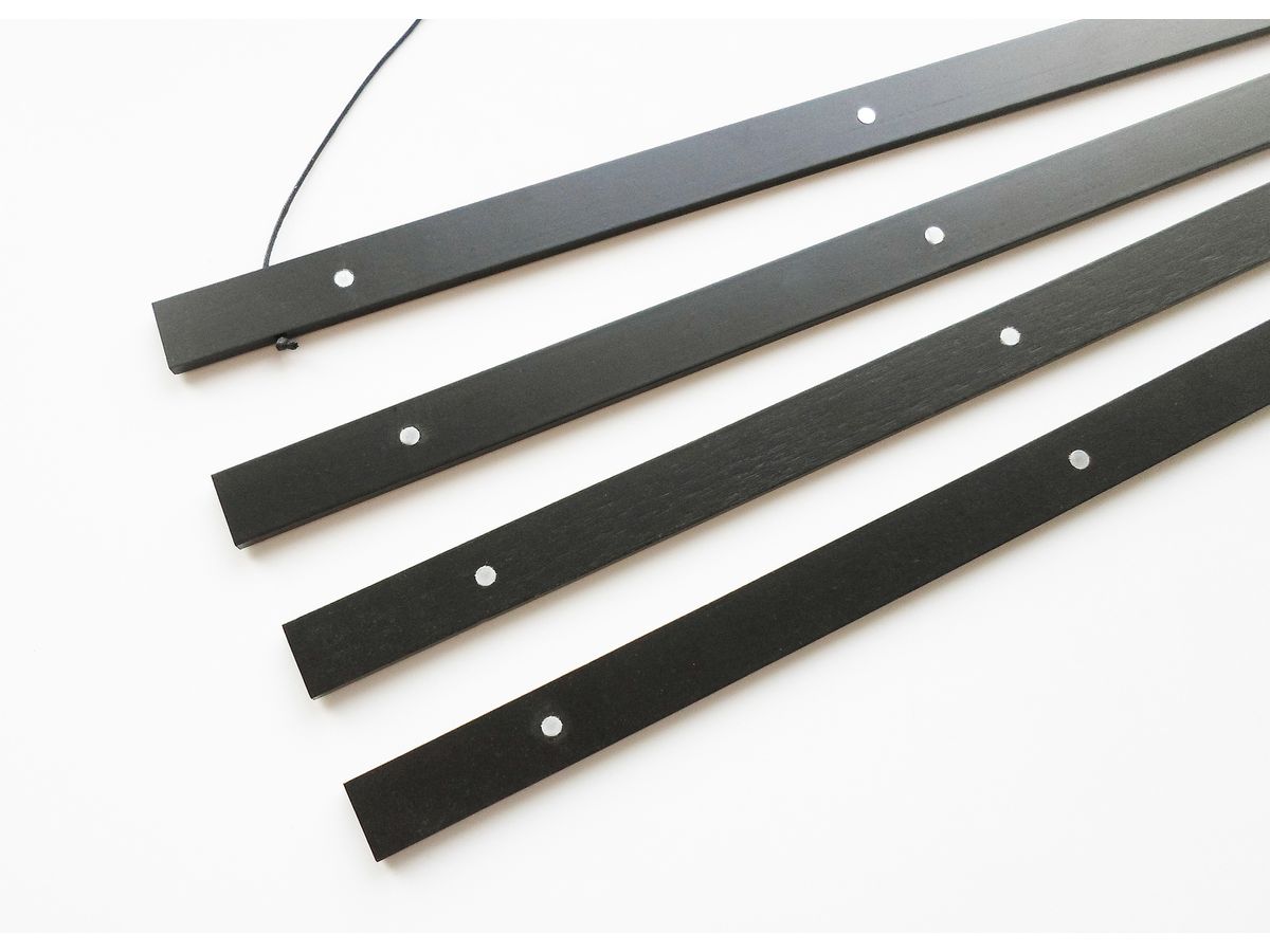 DEBEX Posterleisten 71x2cm LBMG schwarz, magnetisch (7611195374376)