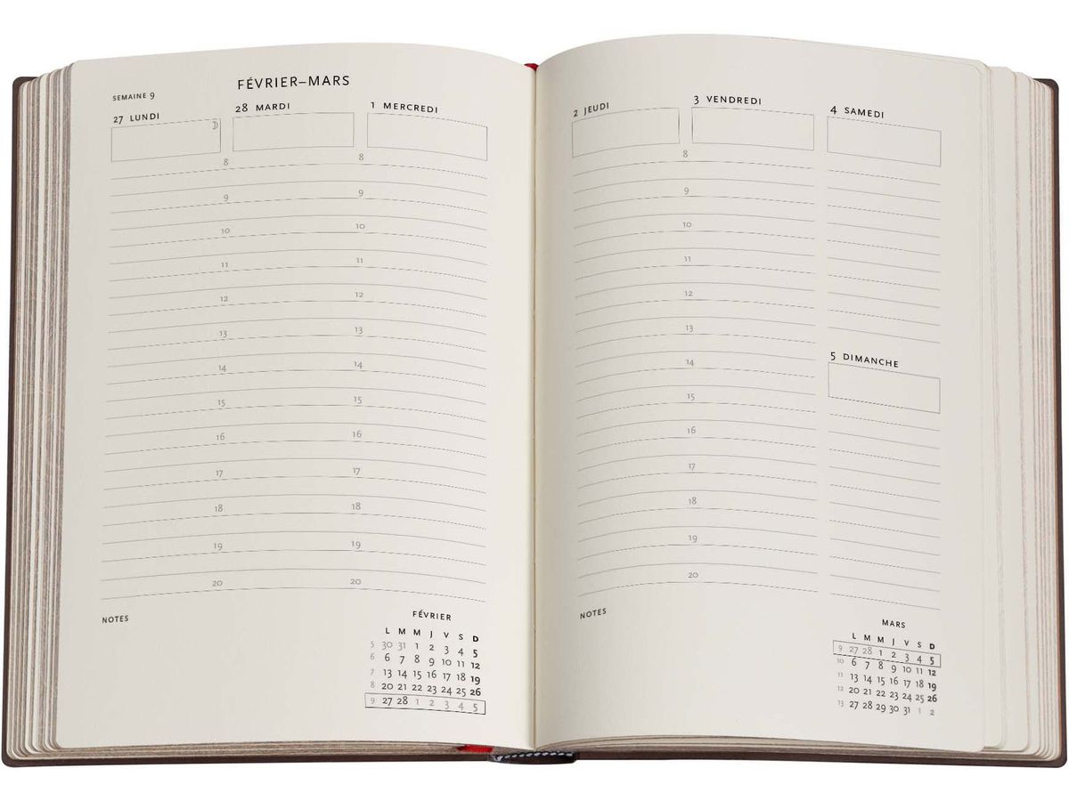 PAPERBLANKS Agenda Astérix le Gaulois 2026 DF0921-5 1S/2P VER Midi HC FR 13x18cm (9780349709215)