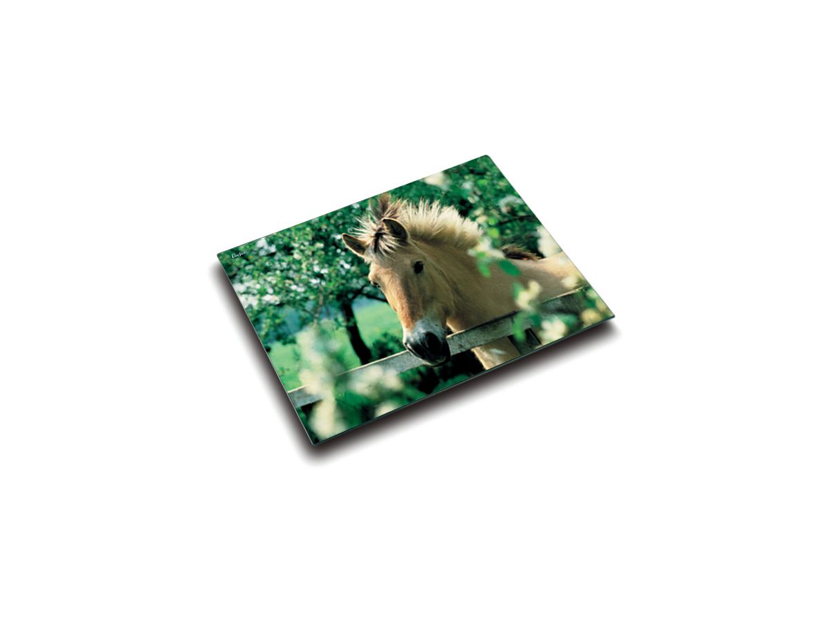 LÄUFER Schreibunterlage 46640 Pferd 53x40cm (4006677466404)