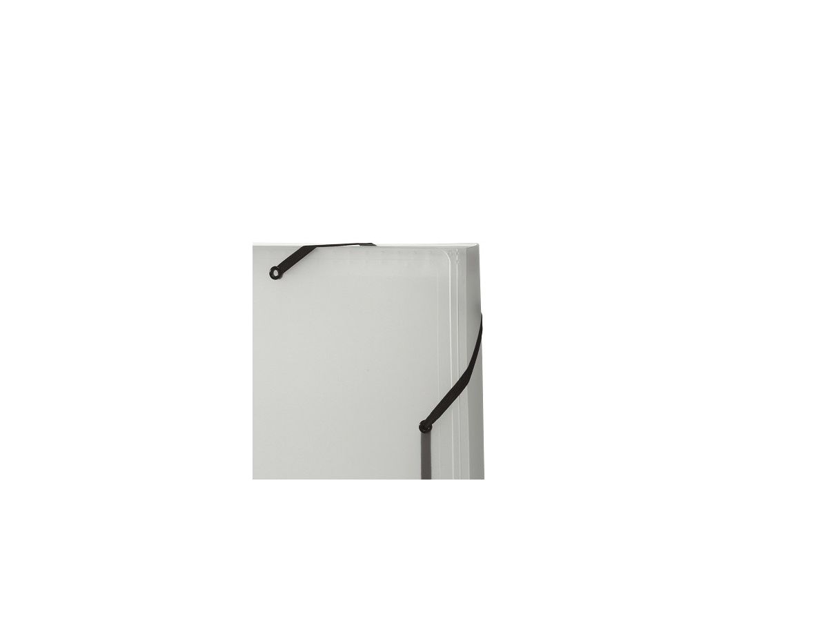 KOLMA Sammelmappe Daily Easy A4 11.017.00 farblos, 13 Taschen, Kolmaflex (7611967111918)