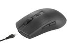DELTACO Lightweight Mouse Wirel.RGB GAM-145 Semi-Transparent,DM320,Black (7333048058614)