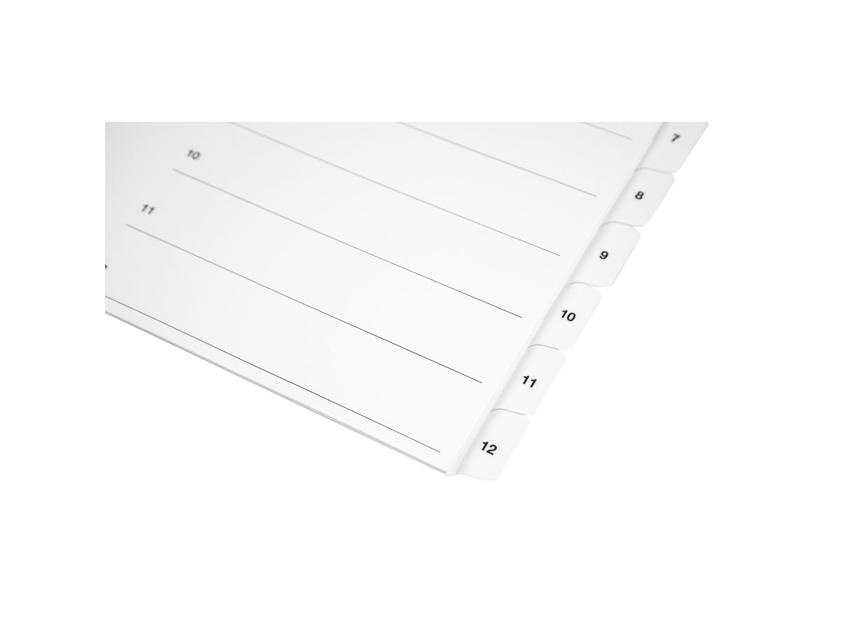 BIELLA Kartonregister SmartIndex A4 46941001U weiss 1-10 (7611365453238)