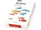 PAPYRUS Rainbow Paper FSC A4 88043111 120g, verde 250 fogli (7318761043529)