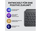 LOGITECH Tastatur MX Keys Mini 920-010485 Graphite CH-Layout (5099206098893)
