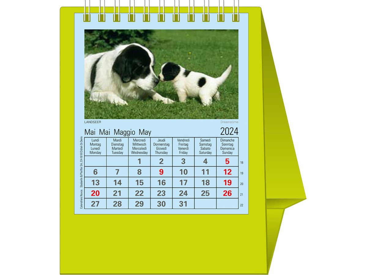 NOVOS Tischkalender Natura 2026 997090 1M/1S hellgrün ML 11.5x14cm (9771662997090)