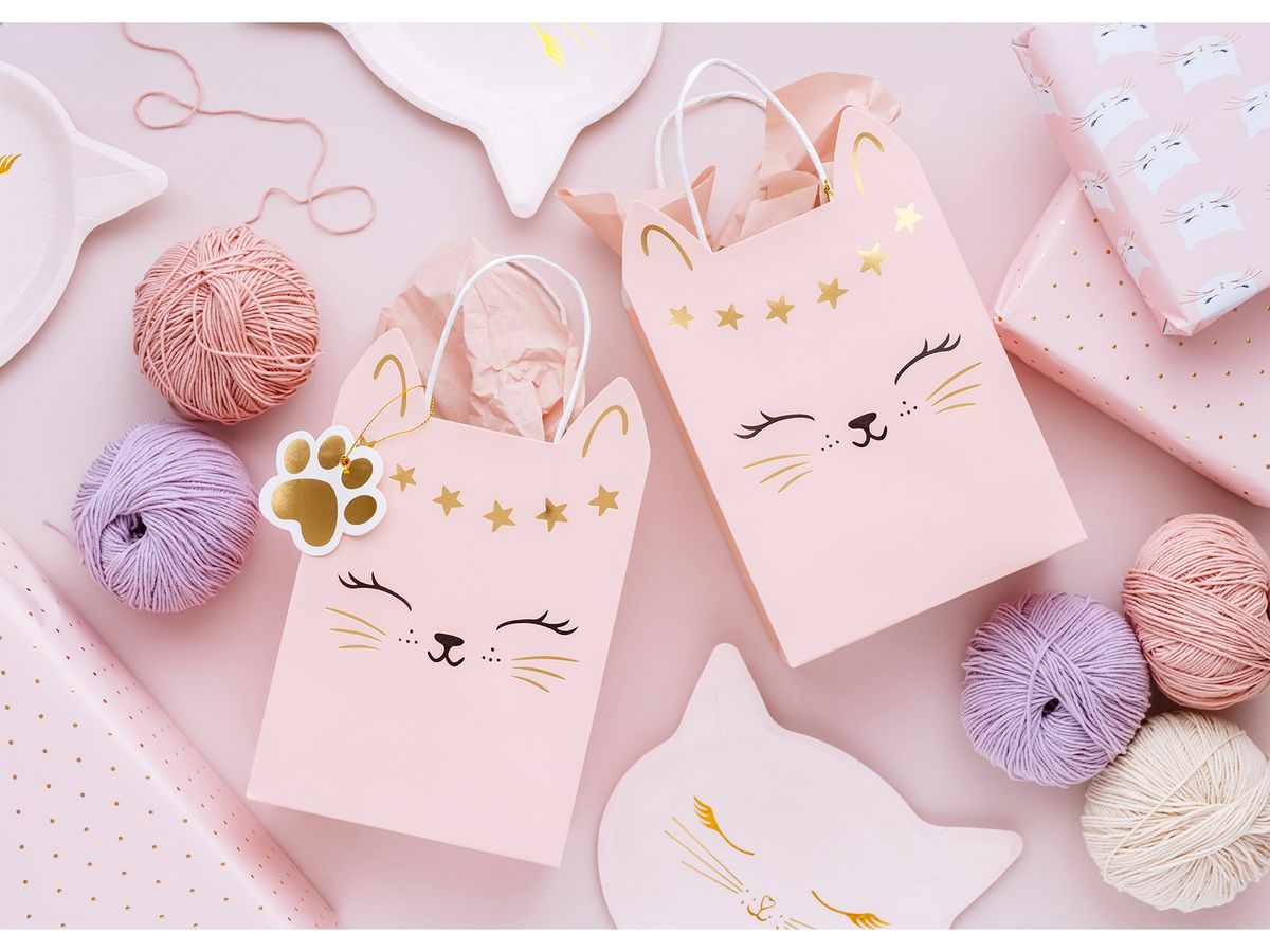 PARTYDECO Sacch. regalo 18x10.5x27.5cm TNP34 Gatto rosa (5904555036130)