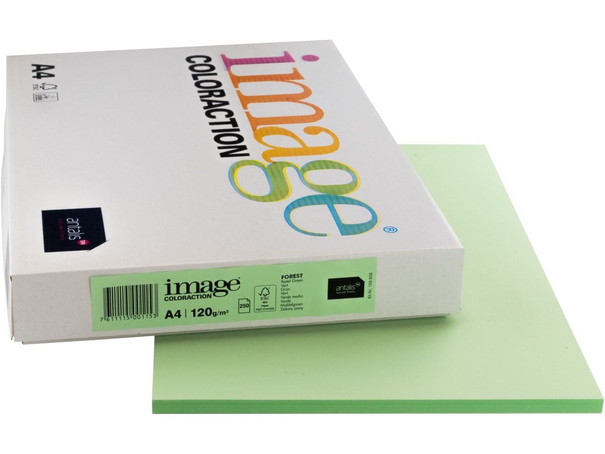 IMAGE COLORACTION Papier à copier Forest A4 266689 120g, vert 250 feuilles (7611115001153)