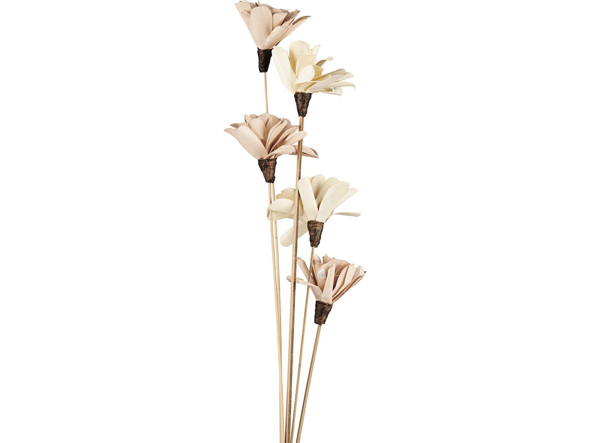 EGLO Fleur séchée SENNETERRE 428168 beige (9008606282173)
