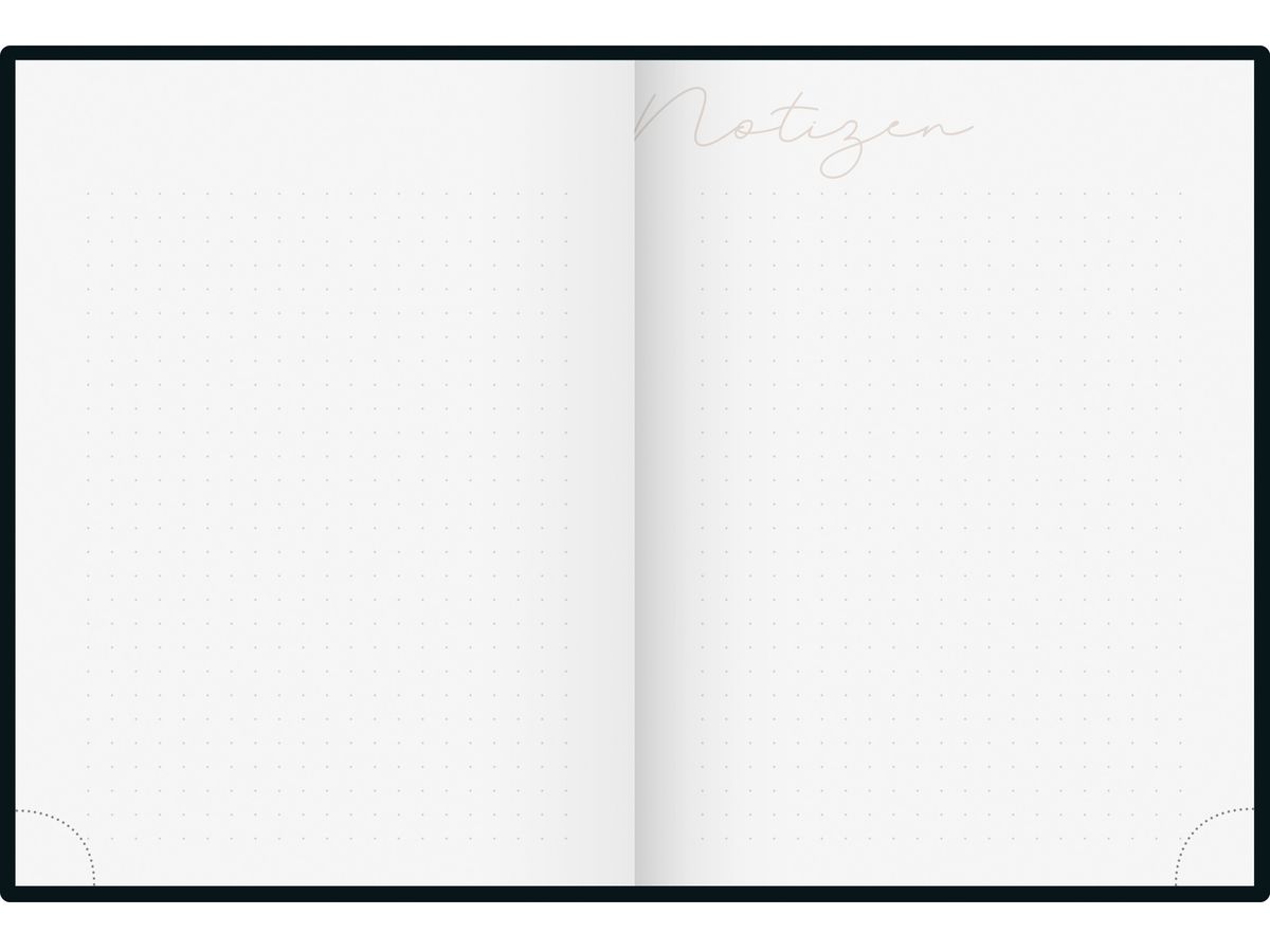 RIDOIDE Agenda poche Design Line 2026 7013603026.26 1S/2P Night AL 12x16cm (4003273789296)