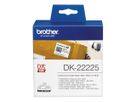 PTOUCH Endlos-Etiketten 38mmx30.48m DK-22225 QL-1050 weiss (4977766667548)