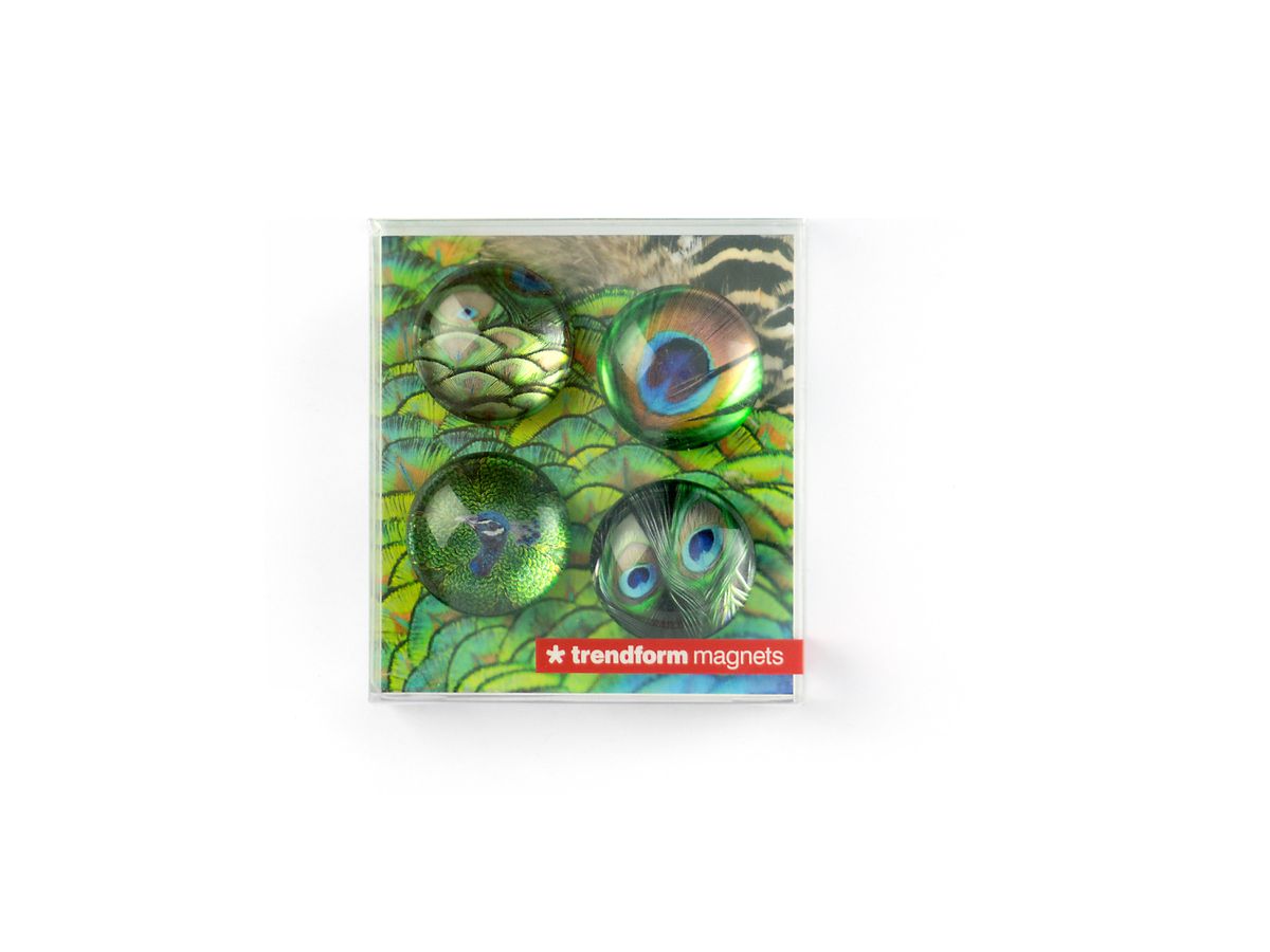 TRENDFORM EYE Aimants PEACOCK EY2020 4 pcs. (7640169365720)