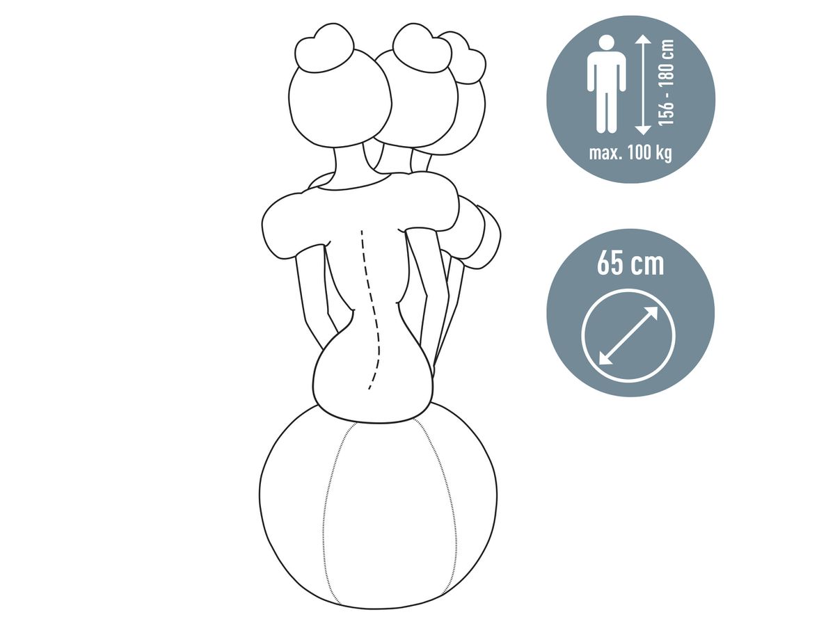 LEITZ Sfera del sedile Cosy 5279-00-89 grigio Ø65cm 1 pezzo (4002432129546)