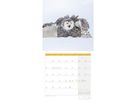 ACKERMANN Calendario 2026 4624 Eulen ML 30x30cm (9783838446240)