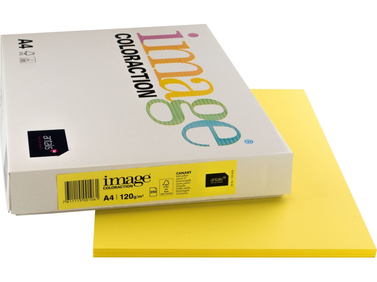 IMAGE COLORACTION Carta per copie Canary A4 266647 giallo canario, 120g 250 fogli (7611115001061)