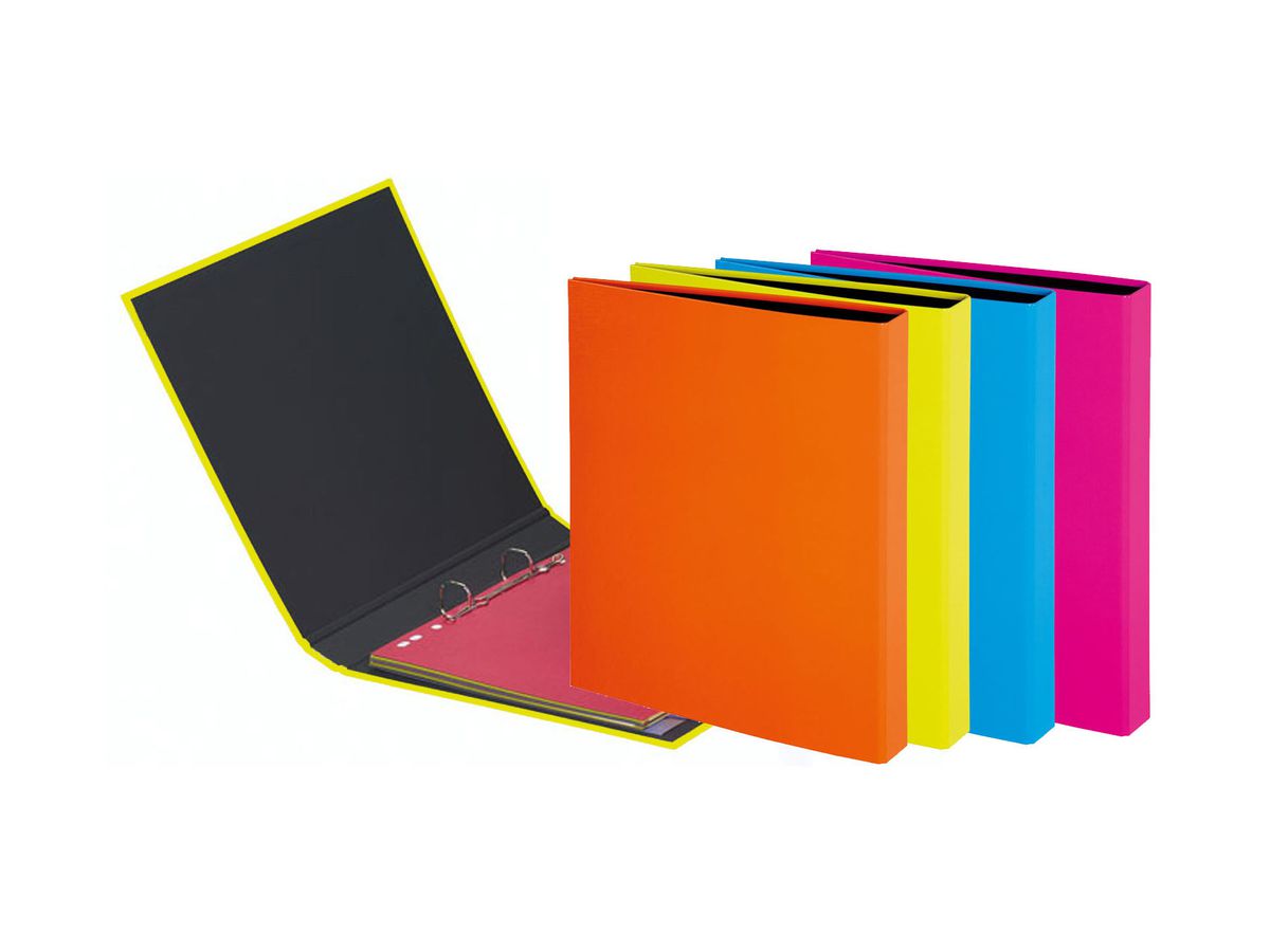 PAGNA Ringbuch A4 20601-00 farbig sortiert (4009212002204)