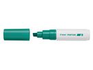 PILOT Marker Pintor 8.0mm SW-PT-B-G vert (4902505557002)