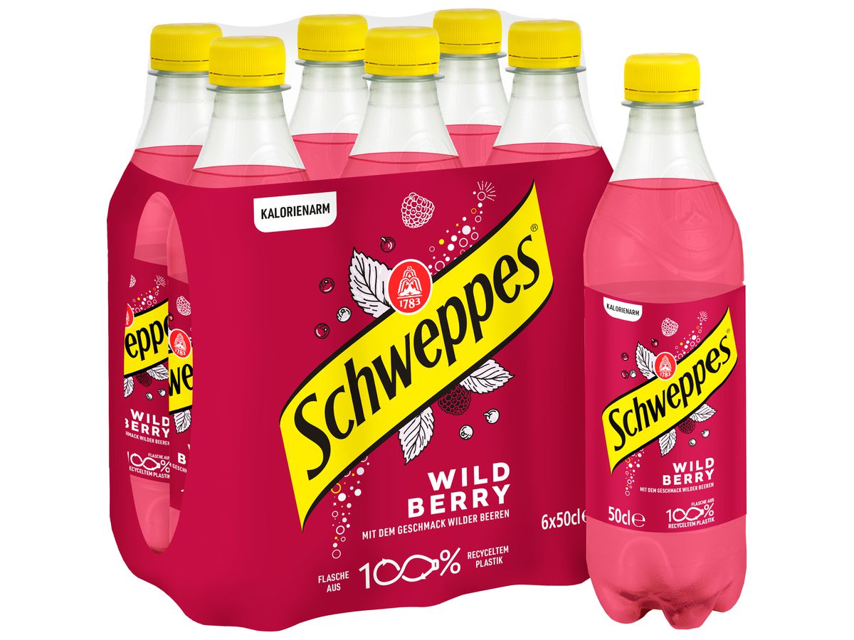 SCHWEPPES Wild Berry 11020621 50 cl, 6 pcs. (7617500199269)