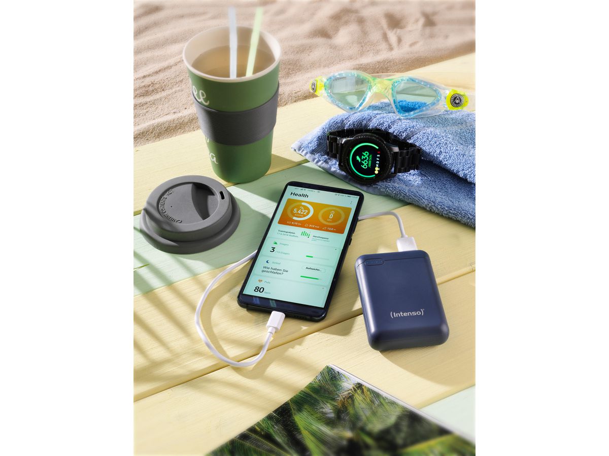 INTENSO Powerbank dark blue 7313535 10000 mAh (4034303028498)