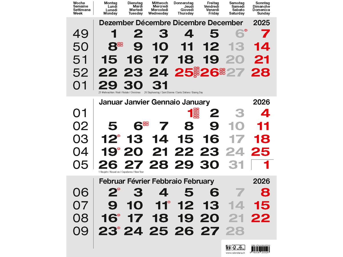 CALENDARIA 3-Monats-Wandkalender 2026 9783036205526 grau 31x40cm (9783036205526)