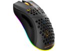DELTACO Lightweight Gaming Mouse,RGB GAM-120 Wireless, Black, DM220 (7333048050601)