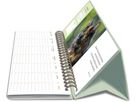 HARENBERG Pultkalender 2026 3310235+26 Katzen 29.9x11.1cm (9783840038020)