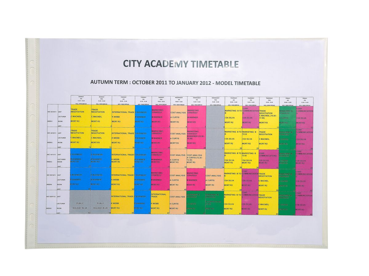 EXACOMPTA Zeigetaschen, genarbt A3 6210E PP, gelocht, 100my (3130631062102)