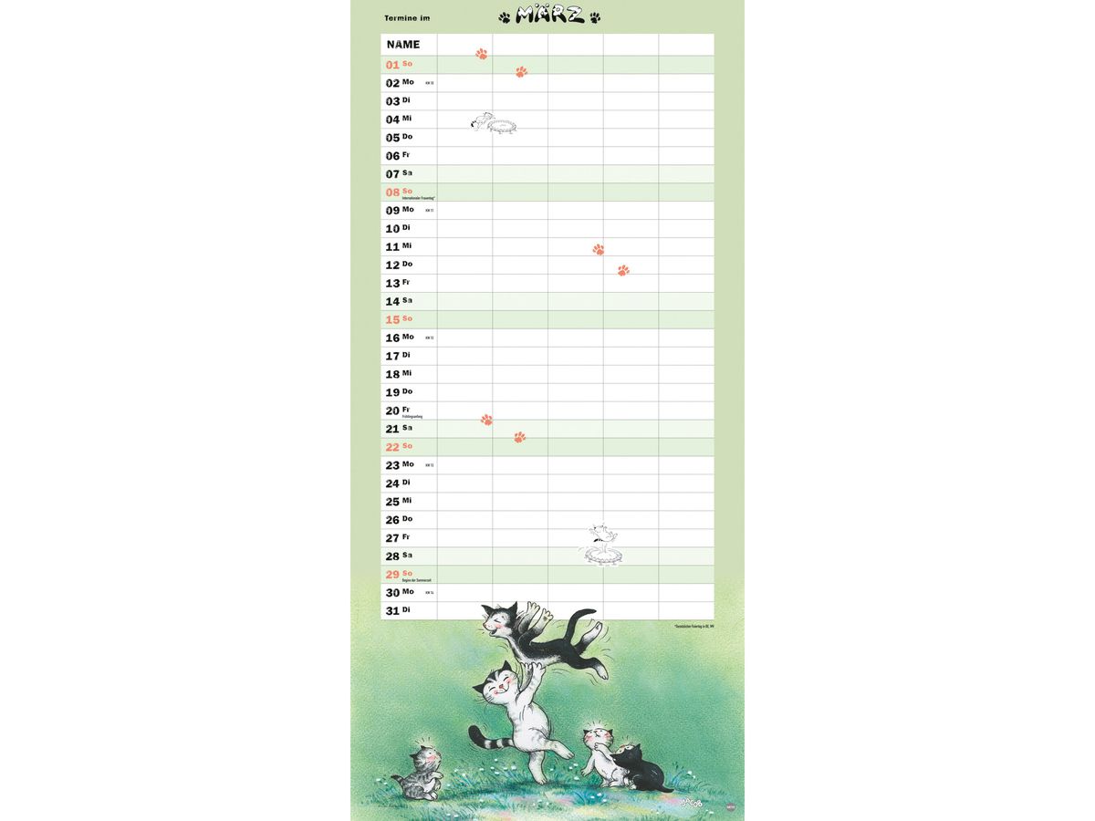 HEYE Pianificatore Kater Jacob 2026 1598+26 1M/1P TE 5 colonne 21x45cm (9783756409723)