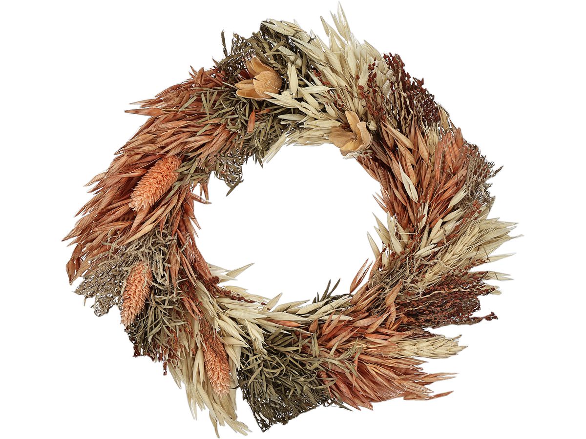 EGLO Trockenblume Ø25cm 428052 braun (9008606258758)