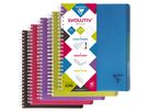 CLAIREFONTAINE LINICOLOR Quaderno A4+ 329155 5mm 120 fogli (3329683291558)