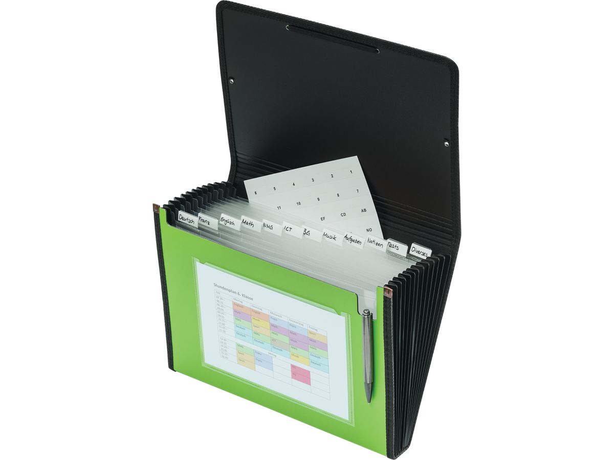 KOLMA Fächermappe Daily A4 11.032.01 grün 12 Fächer (7611967113196)