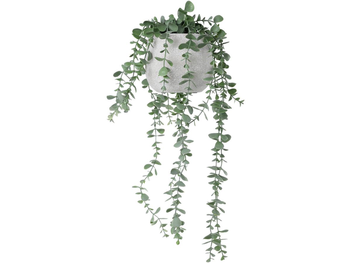 EGLO Kunstpflanze 50cm 428497 grün, im Topf (9008606367962)