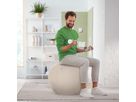 LEITZ Sitzball Ergo Active 65cm 6542-00-85 hellgrau (4002432134762)