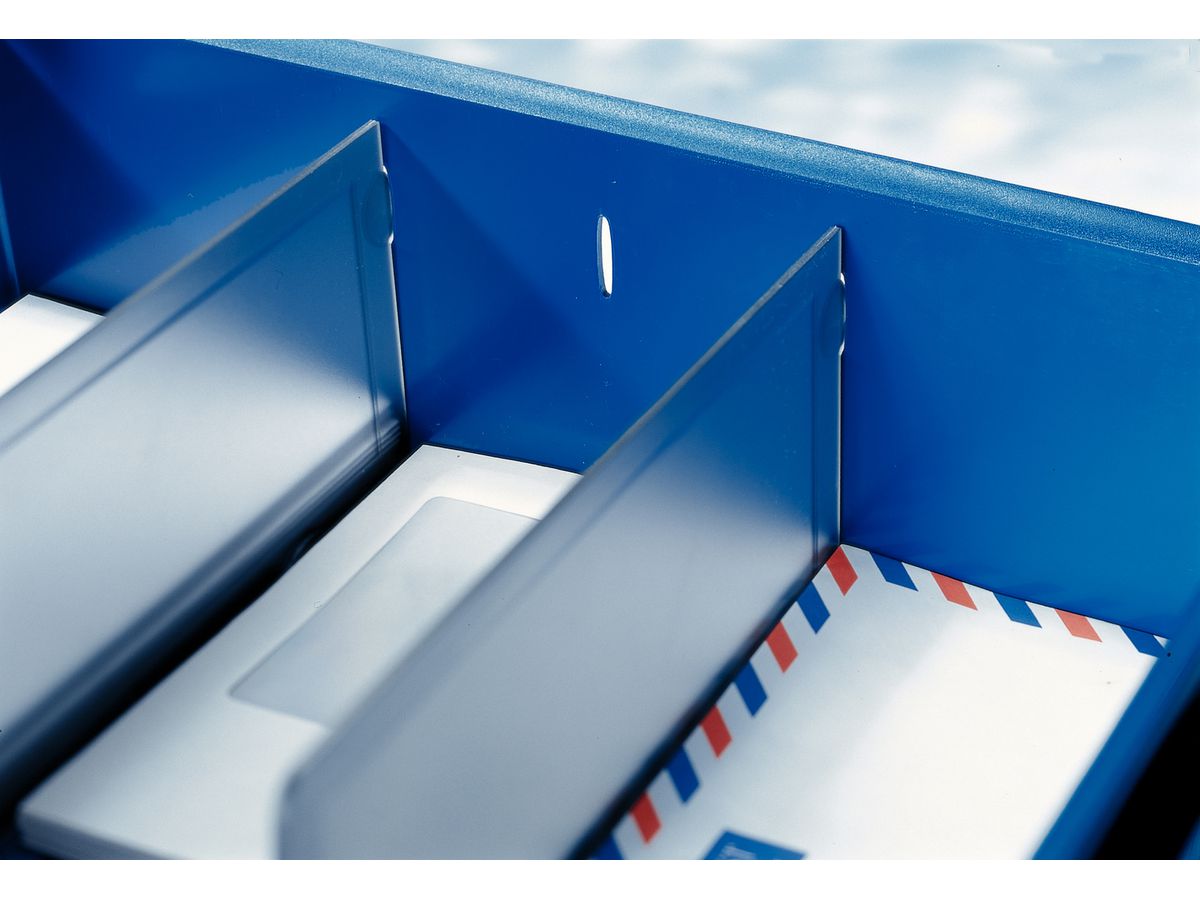 LEITZ Partition p. Sorty 5230/5232 52620000 gris-transparent 2 pcs. (4002432353026)