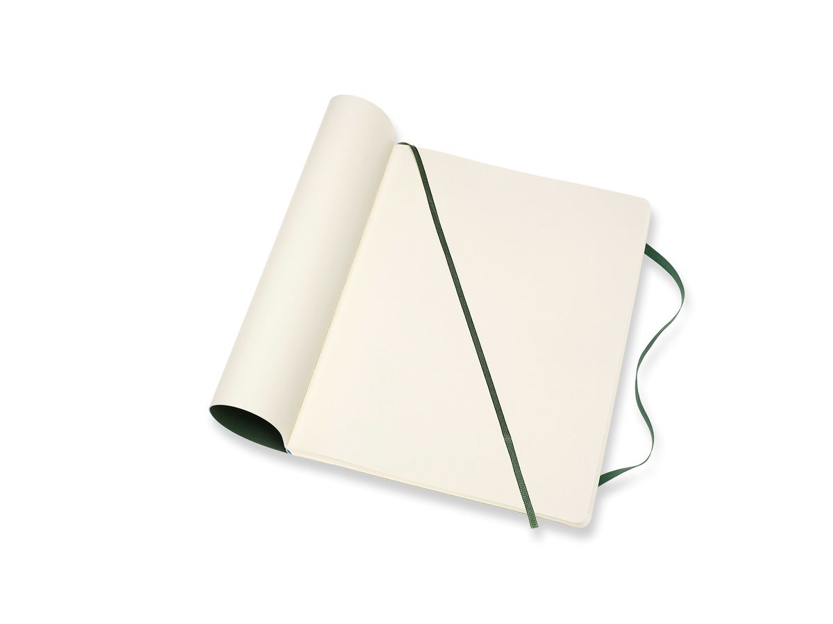MOLESKINE Carnet XL SC 25x19cm 600080 pointé, vert, 192 pages (8053853600080)