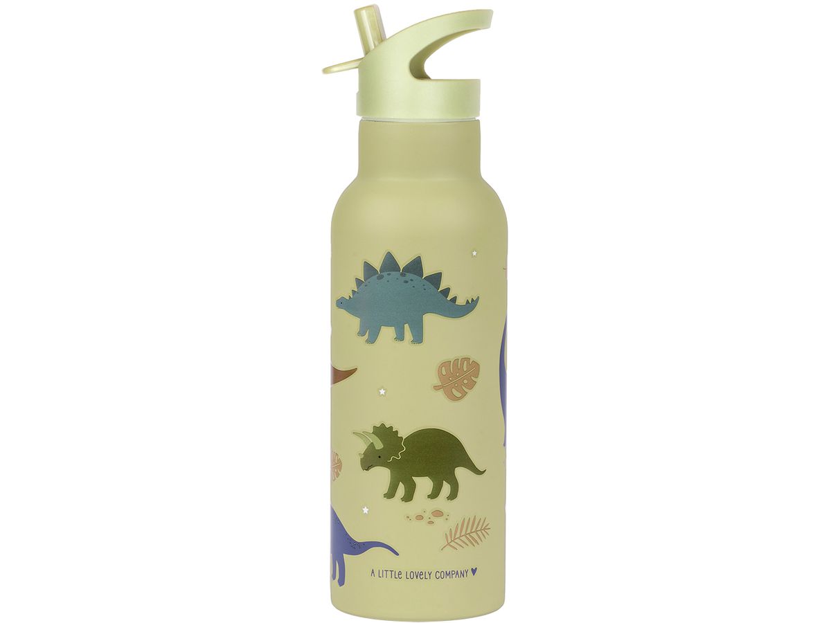 ALLC Trinkflasche XL 500ml DBSXDI75 Dinosaurs (8719715003504)