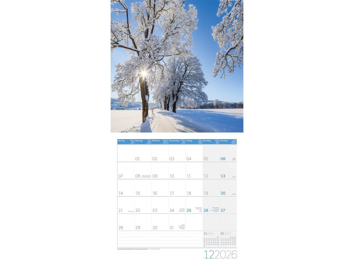ACKERMANN Bildkalender 2026 4604 Traumpfade ML 30x30cm (9783838446042)