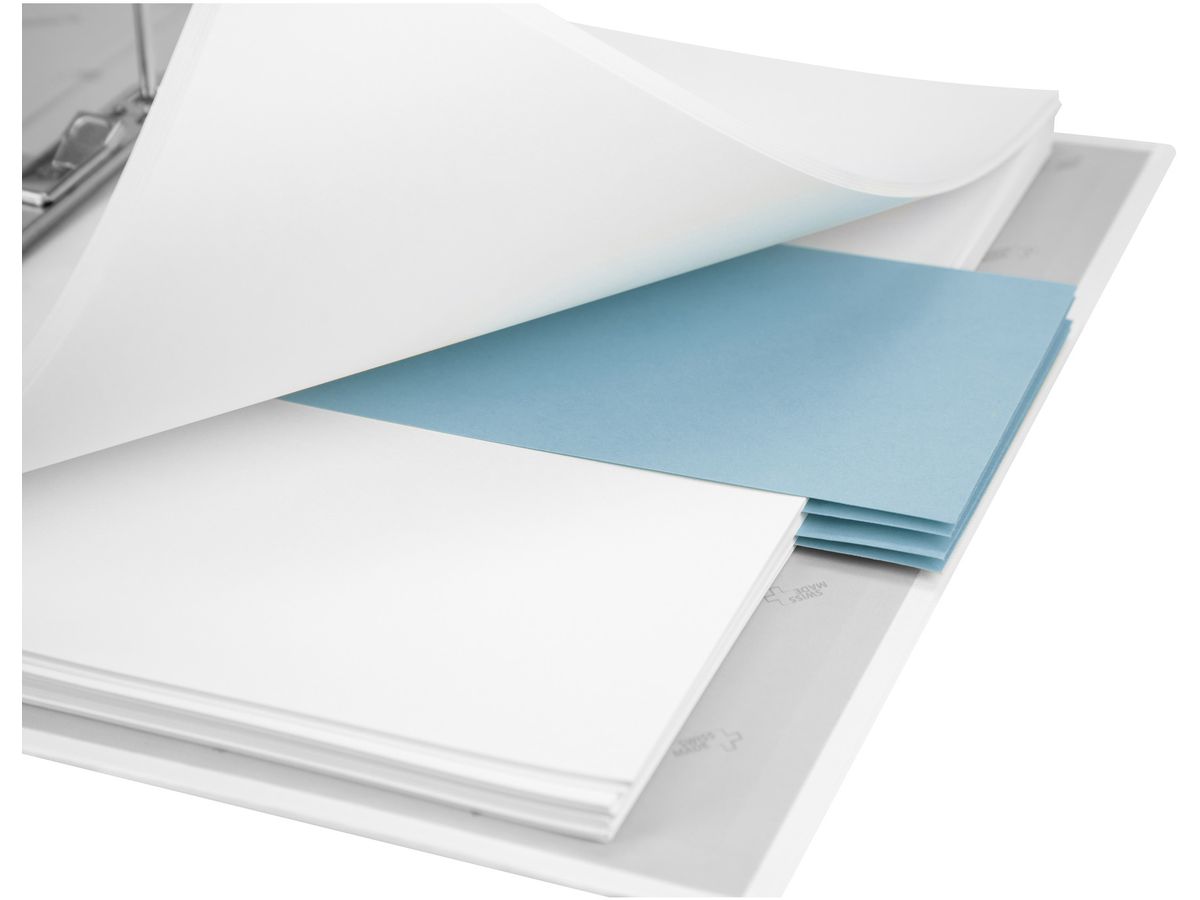 BIELLA Trennstreifen Karton 2 Loch 19919005U blau, 24x10.5cm 100 Stk. (7611365357390)