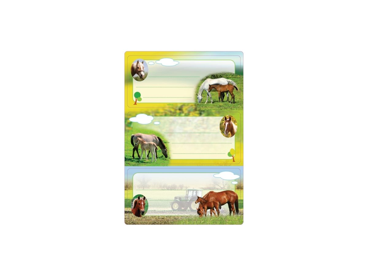 HERMA Etichette scuola 5568 Motivo 6 pezzi (4008705055680)