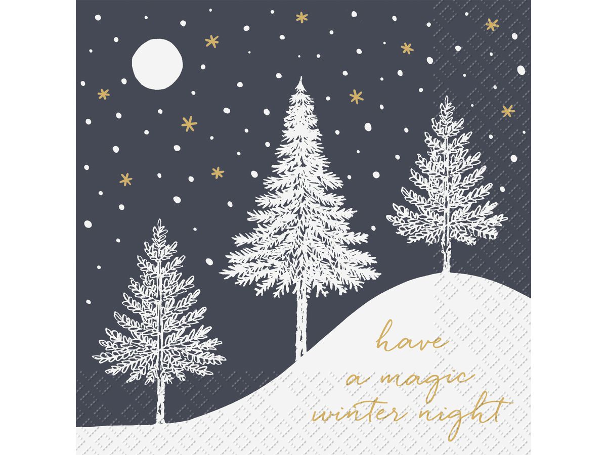 STEWO Serviettes Hiver 33x33cm 2572549870 noir 20 pcs. (7630050851708)