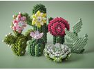 HAMA Set di Perline Midi 3621 Succulente (0028178036218)