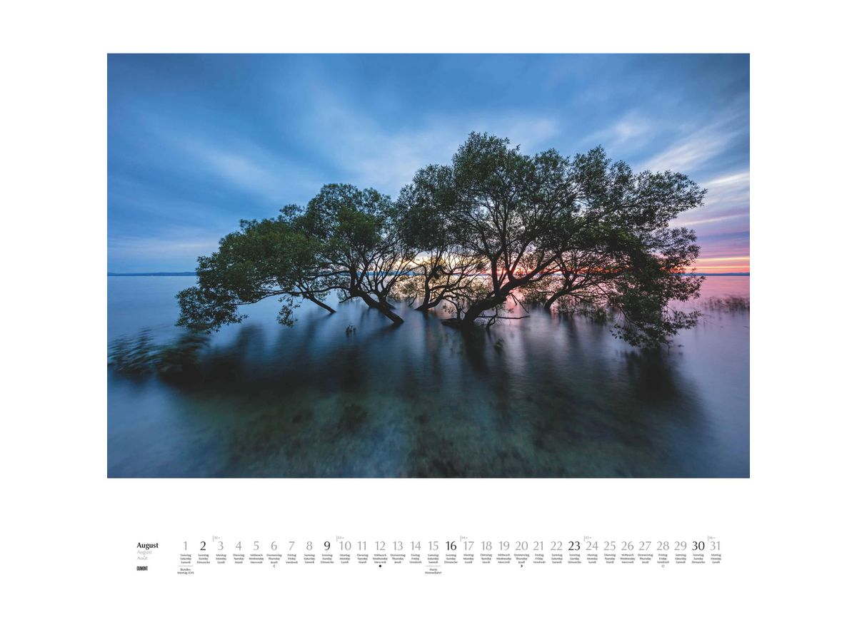 DUMONT Calendrier 2026 260364 Arbres ML 58.4x48.5cm (4069095003644)