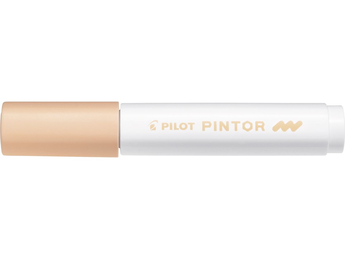 PILOT Marker Pintor M SW-PT-M-PO salmone (4902505541964)