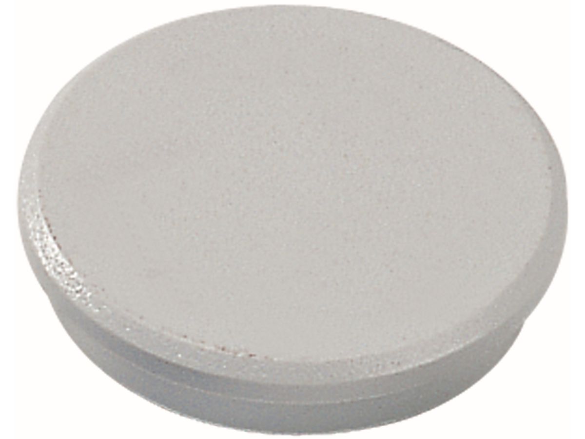 DAHLE Magnete 95532-21506 10 Stk. 32mm grau (4007885985329)